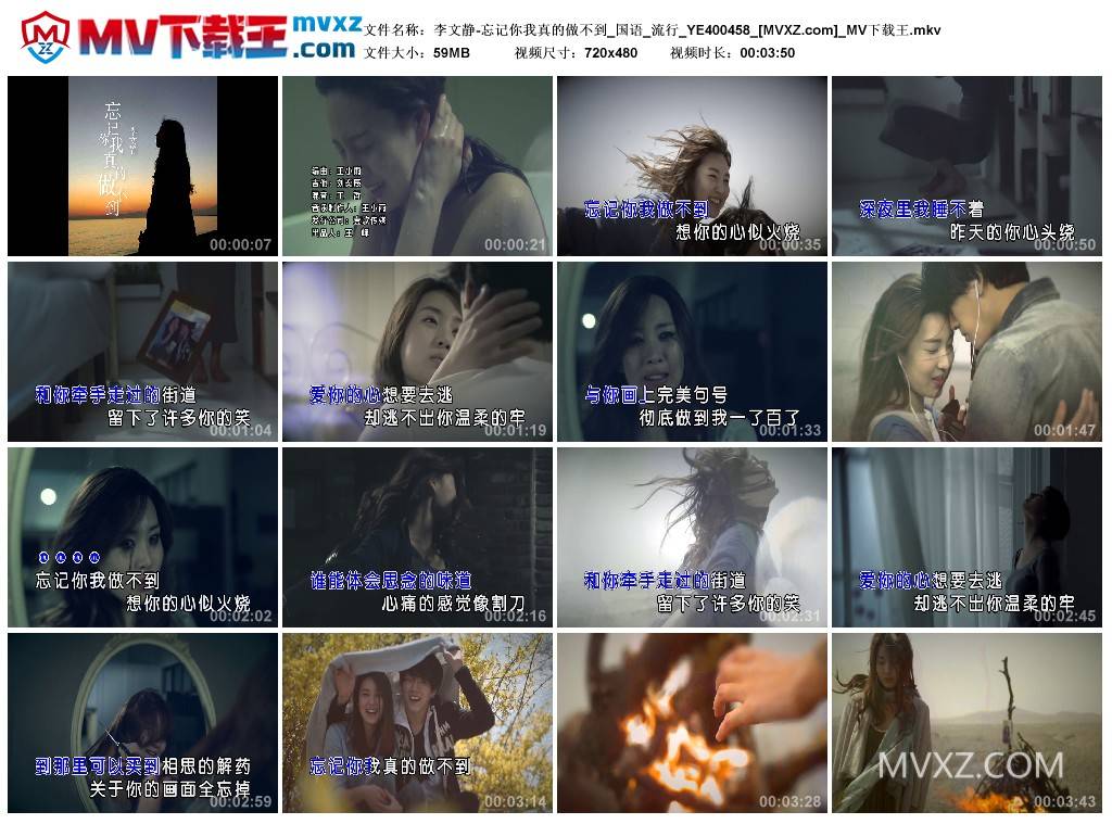 李文静-忘记你我真的做不到_国语_流行_YE400458
